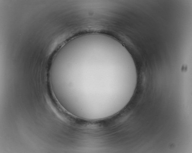X0000113210638200909100948