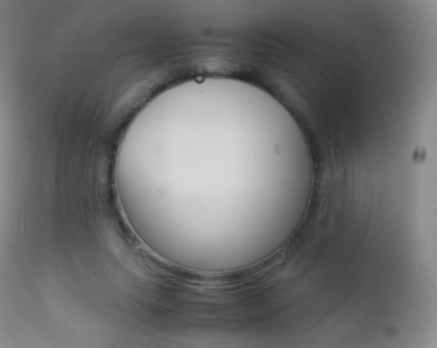 X0000113210639200909100948