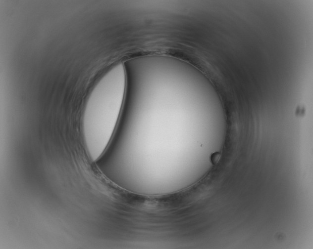 X0000113210641200909100948