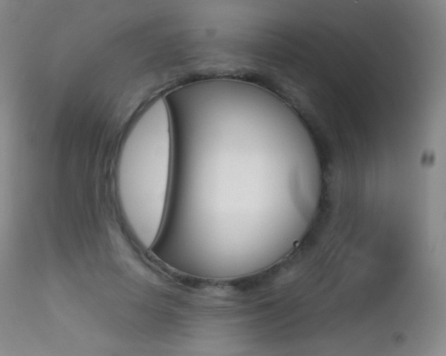 X0000113210642200909100948