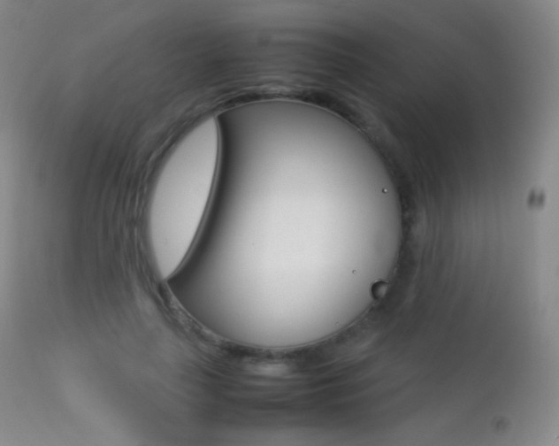 X0000113210643200909100948