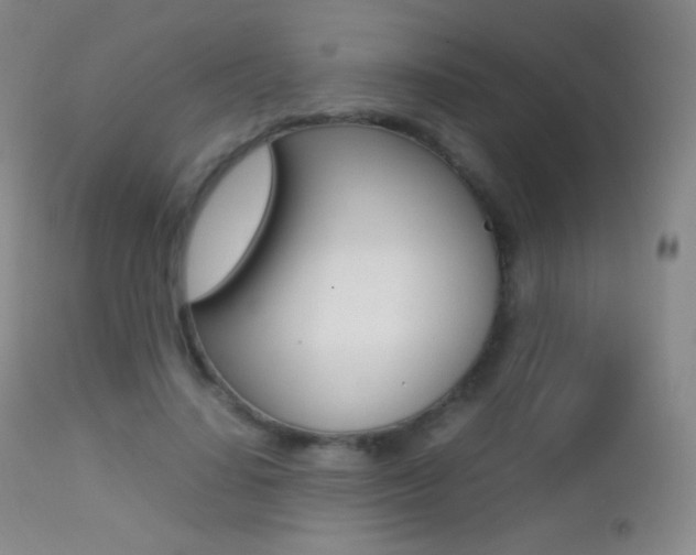 X0000113210644200909100948