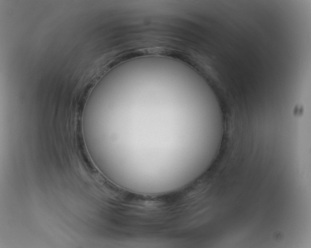 X0000113210645200909100948