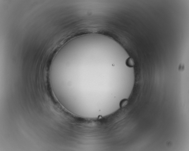 X0000113210646200909100948