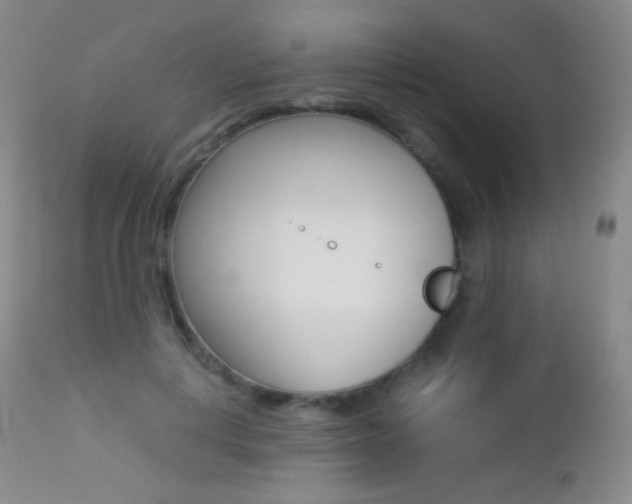 X0000113210648200909100948