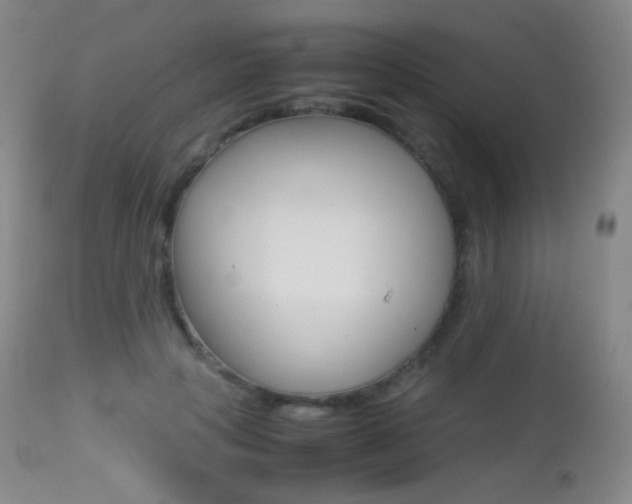 X0000113210649200909100948