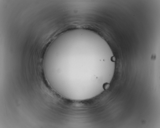X0000113210650200909100948