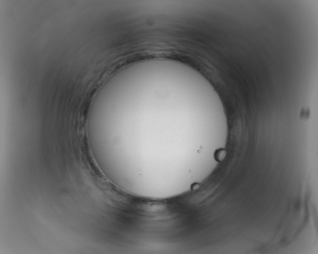 X0000113210651200909100948