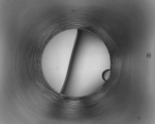 X0000113210653200909100948