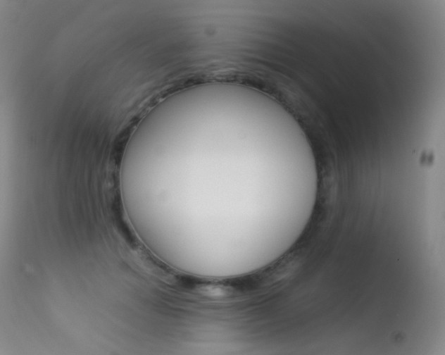 X0000113210654200909100948
