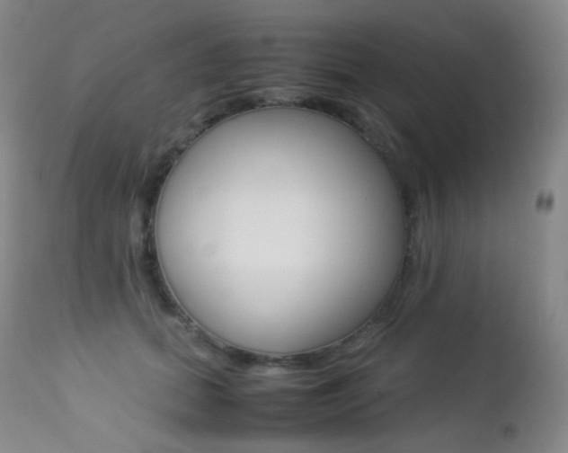 X0000113210655200909100948