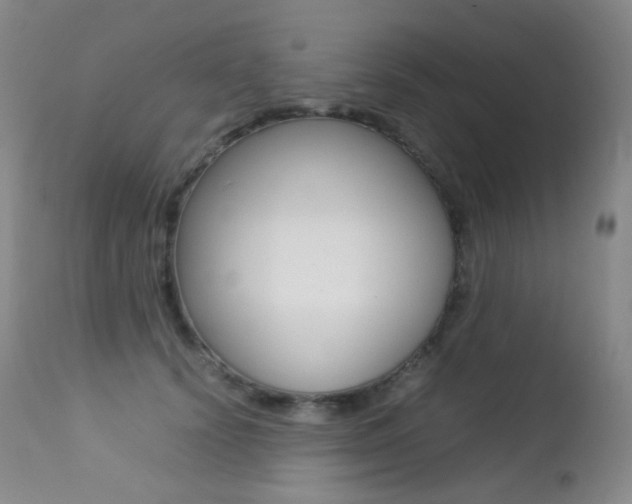 X0000113210656200909100948