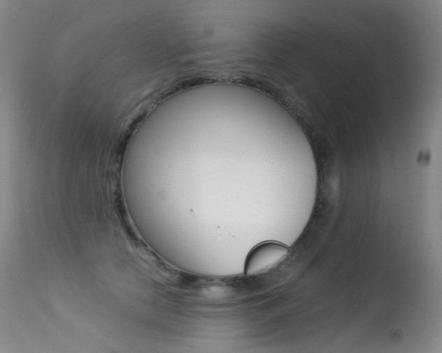 X0000113210658200909100948
