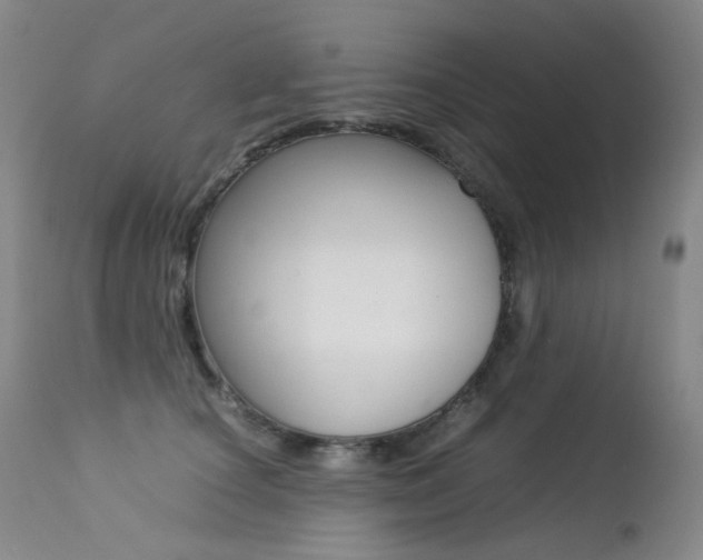 X0000113210660200909100948