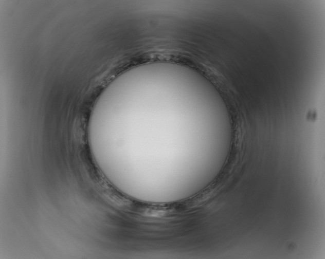 X0000113210661200909100948