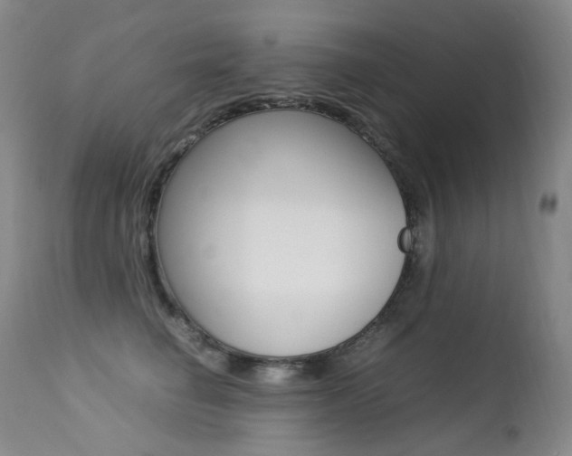 X0000113210662200909100948