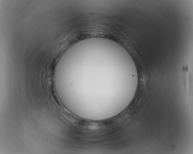 X0000113210663200909100948