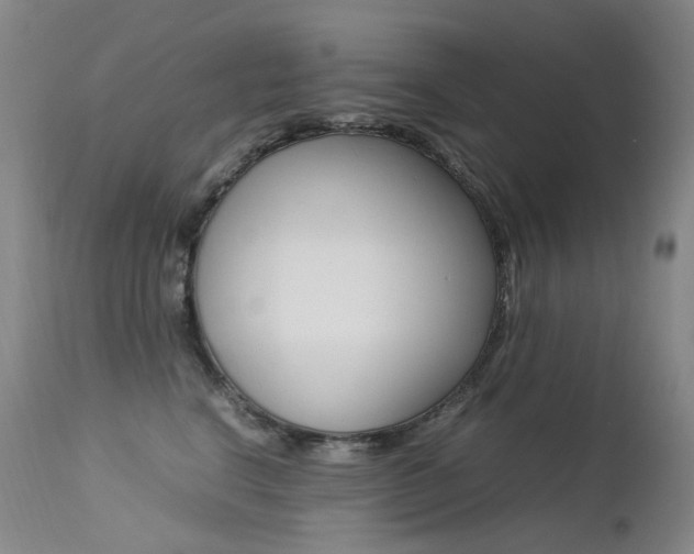 X0000113210664200909100948