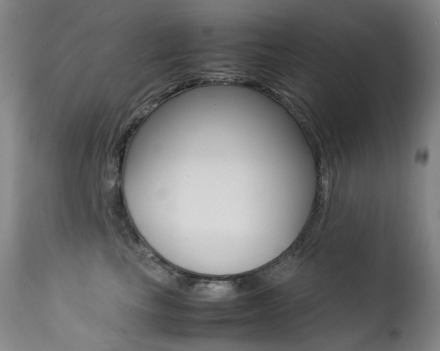 X0000113210665200909100948