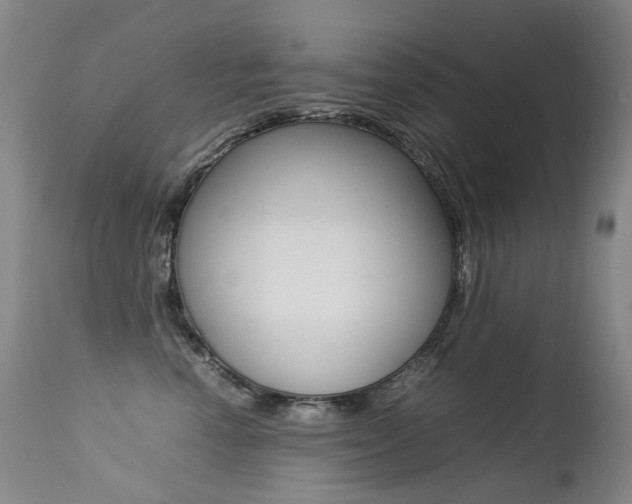 X0000113210666200909100948