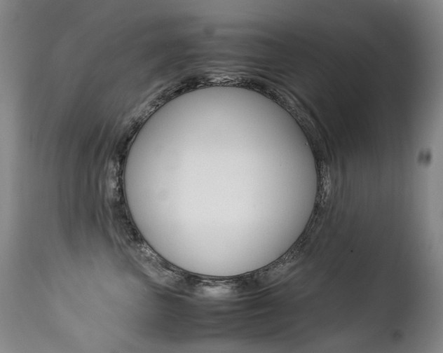 X0000113210667200909100948