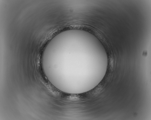 X0000113210668200909100948