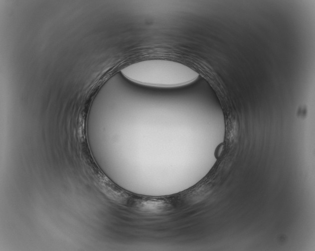 X0000113210669200909100948