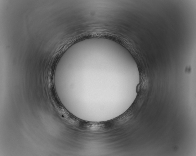 X0000113210670200909100948