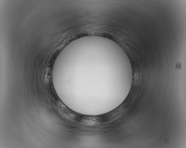 X0000113210671200909100948