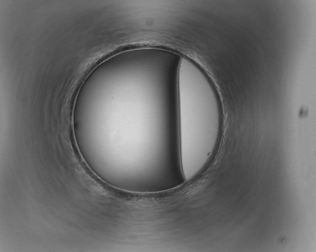X0000113210673200909100947