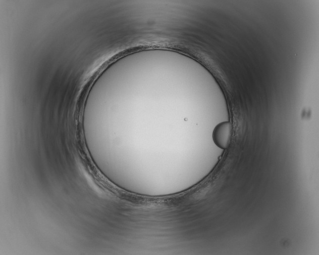 X0000113210674200909100947