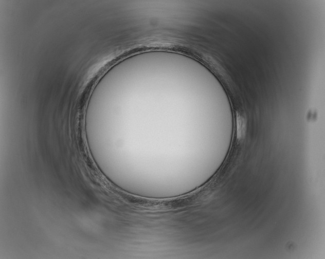 X0000113210675200909100947
