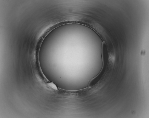 X0000113210676200909100947