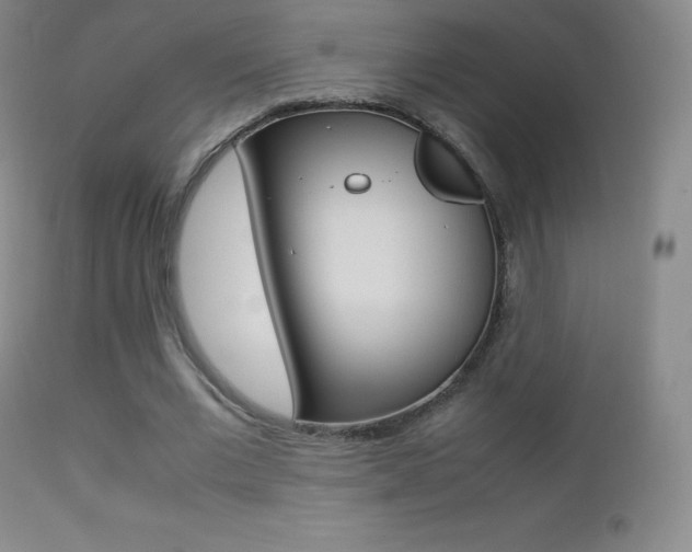 X0000113210677200909100947