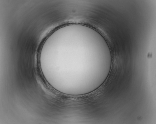 X0000113210678200909100947