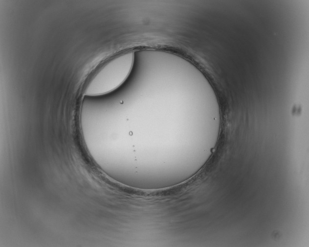 X0000113210679200909100947