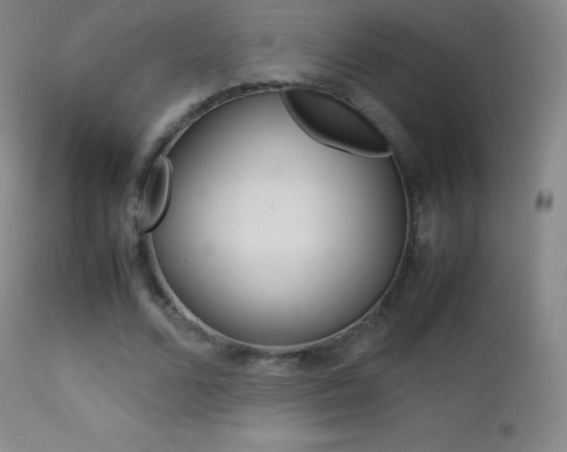 X0000113210680200909100947