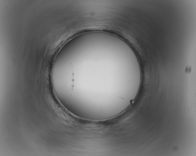 X0000113210681200909100947