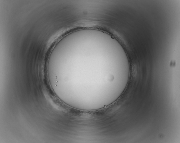 X0000113210682200909100947