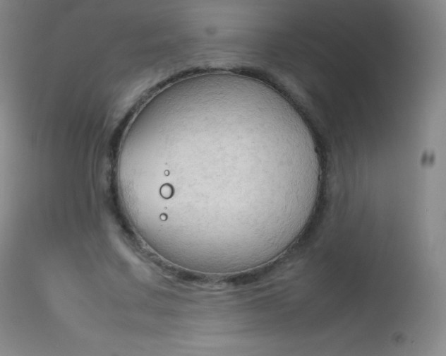 X0000113210683200909100947