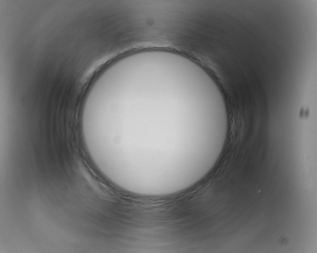 X0000113210684200909100947