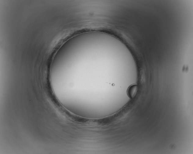 X0000113210685200909100947