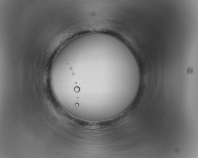 X0000113210687200909100947