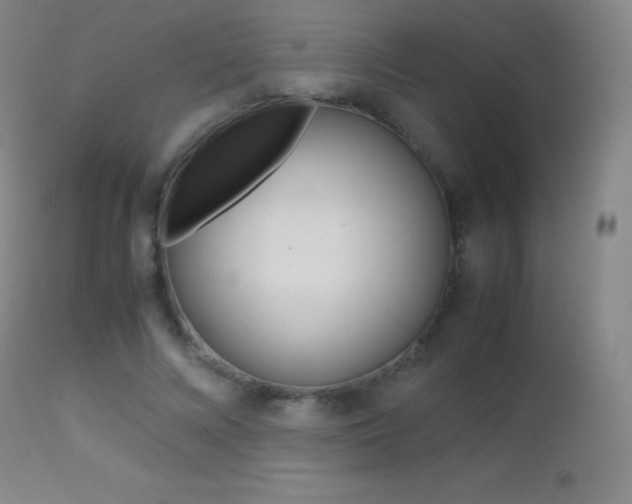 X0000113210688200909100947