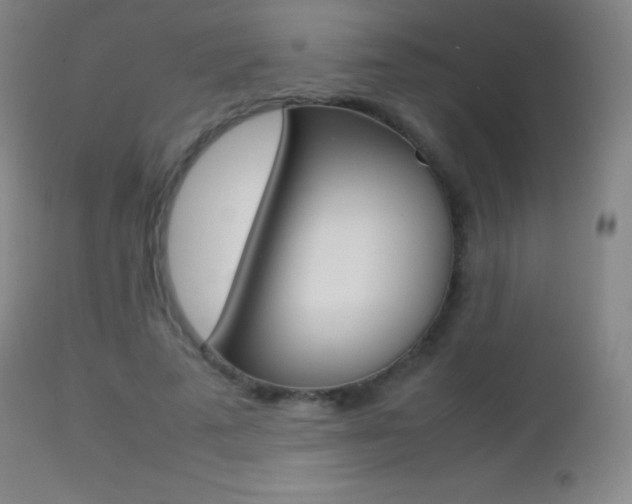 X0000113210689200909100947