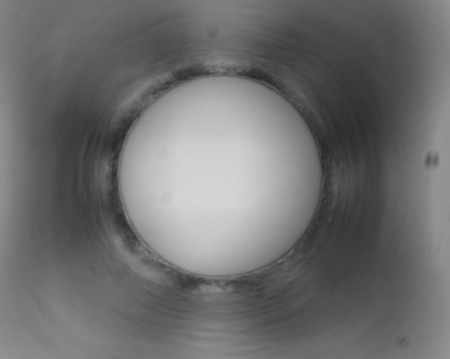 X0000113210690200909100947