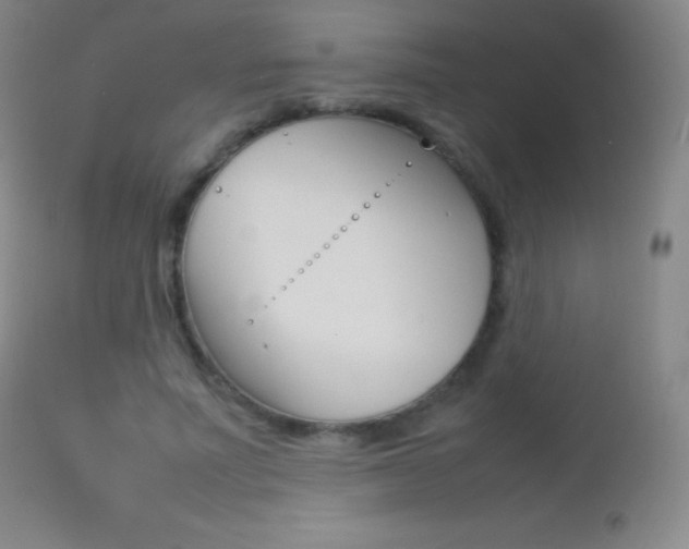 X0000113210691200909100947