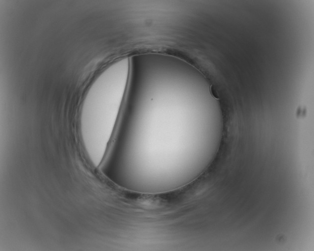 X0000113210693200909100947