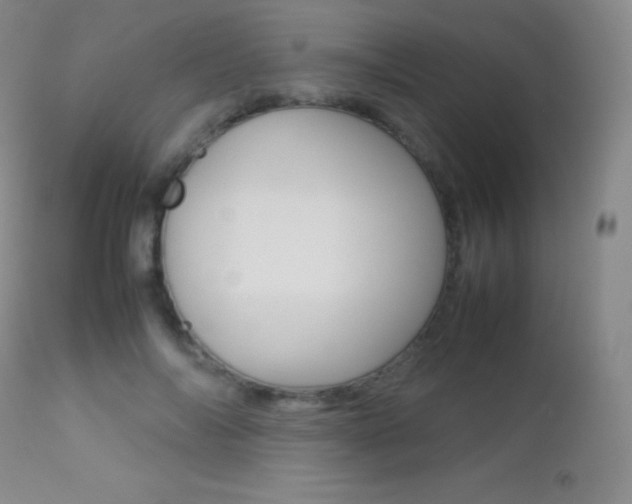 X0000113210694200909100947