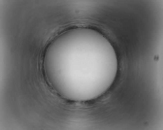 X0000113210697200909100947